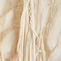 Artikel Trockenblumen Lagurus Natur – Flauschiges Hasenschwanzgras in Creme-Weiß 55-70cm 100g