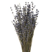 Artikel Lavendel Trockenblumen Deko Natur 100g 40cm 100g × 2St