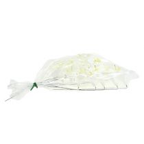 Artikel Lilie am Draht mittel 25 St