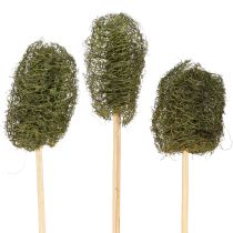 Artikel Luffa klein am Stiel Schwammgurke Dunkelgrün 5-7cm 25 St