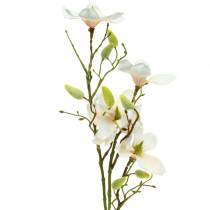 Artikel Magnolie Pfirsich 85cm