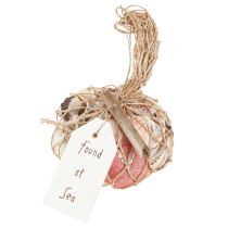 Artikel Maritime Deko Muscheln Mix im Netz Bunt 3,5-6cm 300g × 3St