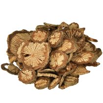 Artikel Mini Holzscheiben Betelnuss Deko mit Maserung 1-4,5cm 300g