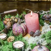 Artikel Mini-Kürbis-Set Orange, Flieder Ø6,5–7cm 6 St