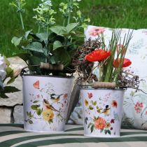 Artikel Mohn Rot im Gras 23cm