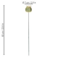 Artikel Mohnkapsel Gartenstecker Dekorationen für charmante Gartenarrangements 60cm 2St
