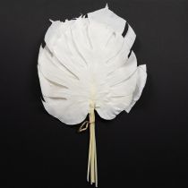 Artikel Monstera Blätter gebleicht Deko Fensterblatt H40cm 5 St