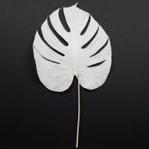 Artikel Monstera Blätter gebleicht Deko Fensterblatt H40cm 5 St