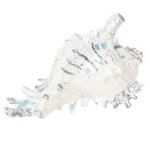 Artikel Muschel Deko Seeschnecke künstlich Blauweiß 11,5/13cm 2 St