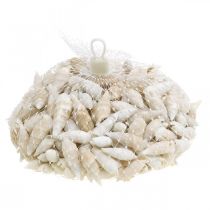Artikel Deko Schnecken Weiß, Meeresschnecke Naturdeko 2-5cm 1kg