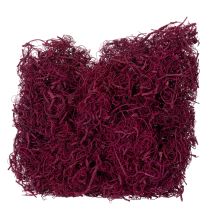 Artikel Naturfaser Tamarind Fibre Bastelbedarf Weinrot 500g - Deko, Floristik, Kreativ