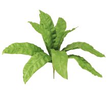 Artikel Nestfarn Künstliche Pflanzen in Grün 5,5×22cm 2St