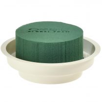 Artikel OASIS® Junior Complet 12 St