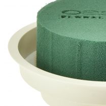 Artikel OASIS® Junior Complet 12 St