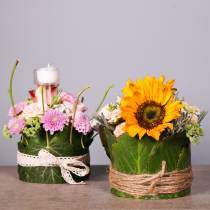 Artikel OASIS® Table Design Viva Ø11cm 12 St