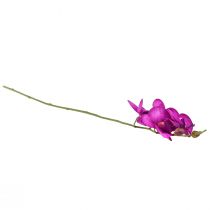 Artikel Orchidee Künstliche Phalaenopsis 4 Blüten Fuchsia 72cm