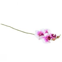 Artikel Orchidee Künstliche Phalaenopsis 4 Blüten Weiß Pink 72cm