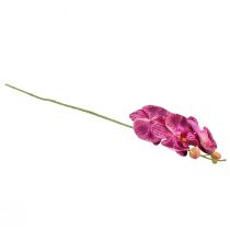 Artikel Orchidee geflammt Künstliche Phalaenopsis Violett 72cm