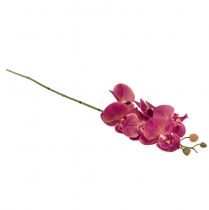 Artikel Künstliche Orchidee Phalaenopsis Orchidee Fuchsia 78cm