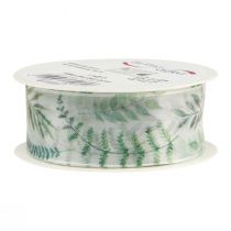 Artikel Organzaband Chiffonband Blätterzweige Grün 40mm 15m