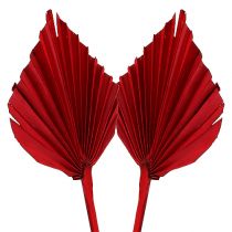 Artikel Palmspear Rot 65 St