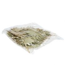 Artikel Palmspear Sun mini Natur 50 St