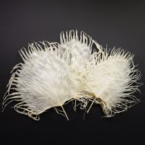 Artikel Palmwedel getrocknet Deko Blätter gebleicht 45cm 5 St