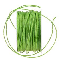 Artikel Papierkordel Draht umwickelt Ø2mm 100m Apfelgrün