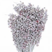 Artikel Pfefferbeere beschneit, Winterdeko, Trockenblumen, Advent, Rosa Pfeffer Weiß gewaschen 170g