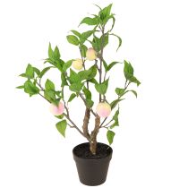 Artikel Pfirsichbaum im Topf mit 4 Früchten Künstlich H53cm