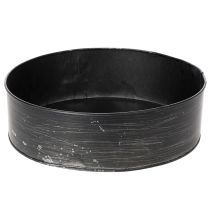 Artikel Pflanzgefäß, Deko-Backform, Springform zum Bepflanzen, Metalldeko Ø24cm H7,5cm