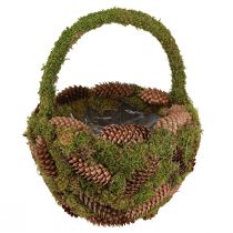 Artikel Pflanzkorb Moos Fichtenzapfen Korb mit Henkel Ø32cm H42cm