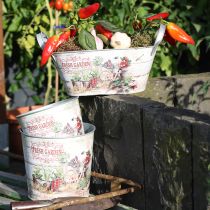 Artikel Pflanzkübel Blumenkübel Rund Metall Fresh Garden H21cm