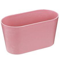 Artikel Pflanzschale oval Pink Dekoschale Kunststoff 20×10×11cm 3St