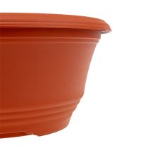 Artikel Pflanzschale aus Plastik Ø27cm Runde Schale Terrakotta 5St