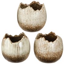 Artikel Pflanztopf Keramik Ei Zerbrochen Creme Braun Ø9,5cm 3 St