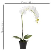 Artikel Kunstpflanze Orchidee täuschend echt für Büro und Wohnzimmer Dekoration 62cm