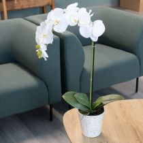 Artikel Kunstpflanze Orchidee täuschend echt für Büro und Wohnzimmer Dekoration 62cm