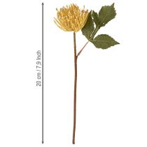Artikel Protea künstlich Leucospermum Nadelkissen Gelb 30cm 6 St
