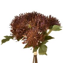 Artikel Protea künstlich Nadelkissen Leucospermum Lila 30cm 6 St