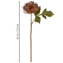 Artikel Protea künstlich Nadelkissen Leucospermum Lila 30cm 6 St