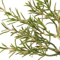 Artikel Rosmarin im Topf Künstliche Kräuter Grünpflanzen H24cm