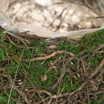 Artikel Runde Pflanzschale Moos Reben Mit Folie Ø20cm H7cm