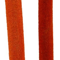 Artikel Schilfkolben Mix Orange 100 St