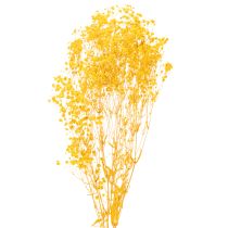 Artikel Trockenblumenstrauß Schleierkraut Dekorative Blütenzweige passend zur saisonalen Tischdekoration 70cm