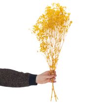 Artikel Trockenblumenstrauß Schleierkraut Dekorative Blütenzweige passend zur saisonalen Tischdekoration 70cm