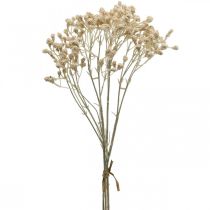 Artikel Künstliches Schleierkraut Creme Gypsophila 46cm Bund à 3 St