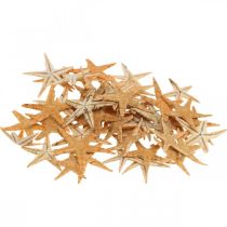 Artikel Seesterne Streudeko Home Deko Mini Seestern Natur 2-4cm 50St