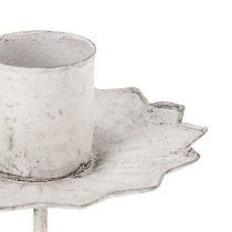 Artikel Spitzkerzenhalter zum Stecken Ø7cm Creme 4St