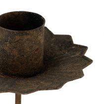 Artikel Spitzkerzenhalter zum Stecken Ø7cm Rost 4St